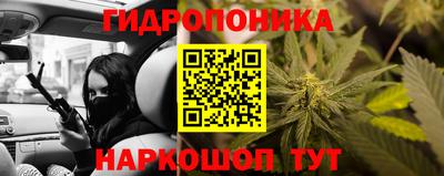 a pvp Можга