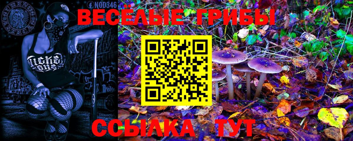 Псилоцибиновые грибы MAGIC MUSHROOMS Усть-Джегута